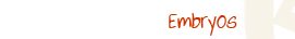 embryos
