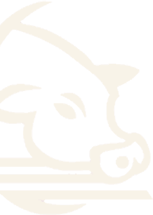 Lazy G Lowline Cattle